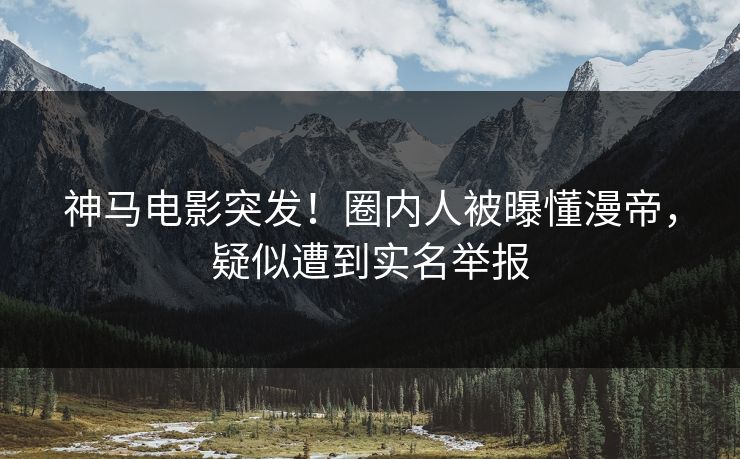 神马电影突发！圈内人被曝懂漫帝，疑似遭到实名举报