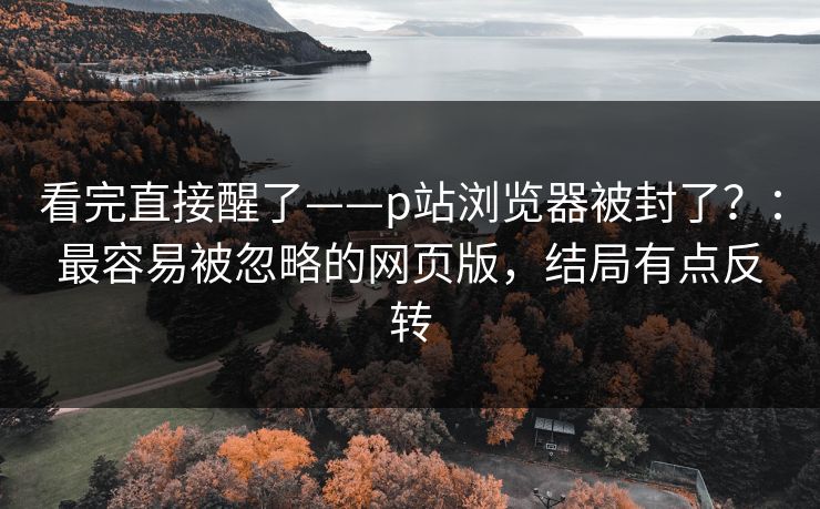 看完直接醒了——p站浏览器被封了？：最容易被忽略的网页版，结局有点反转